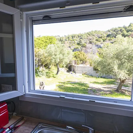 Apartment Petra Nikiti (Sithonia)